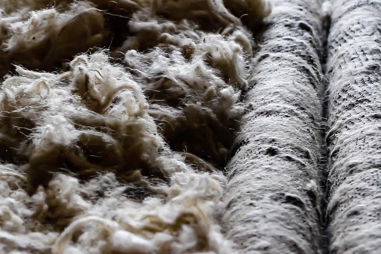Wool fiber close-up detail