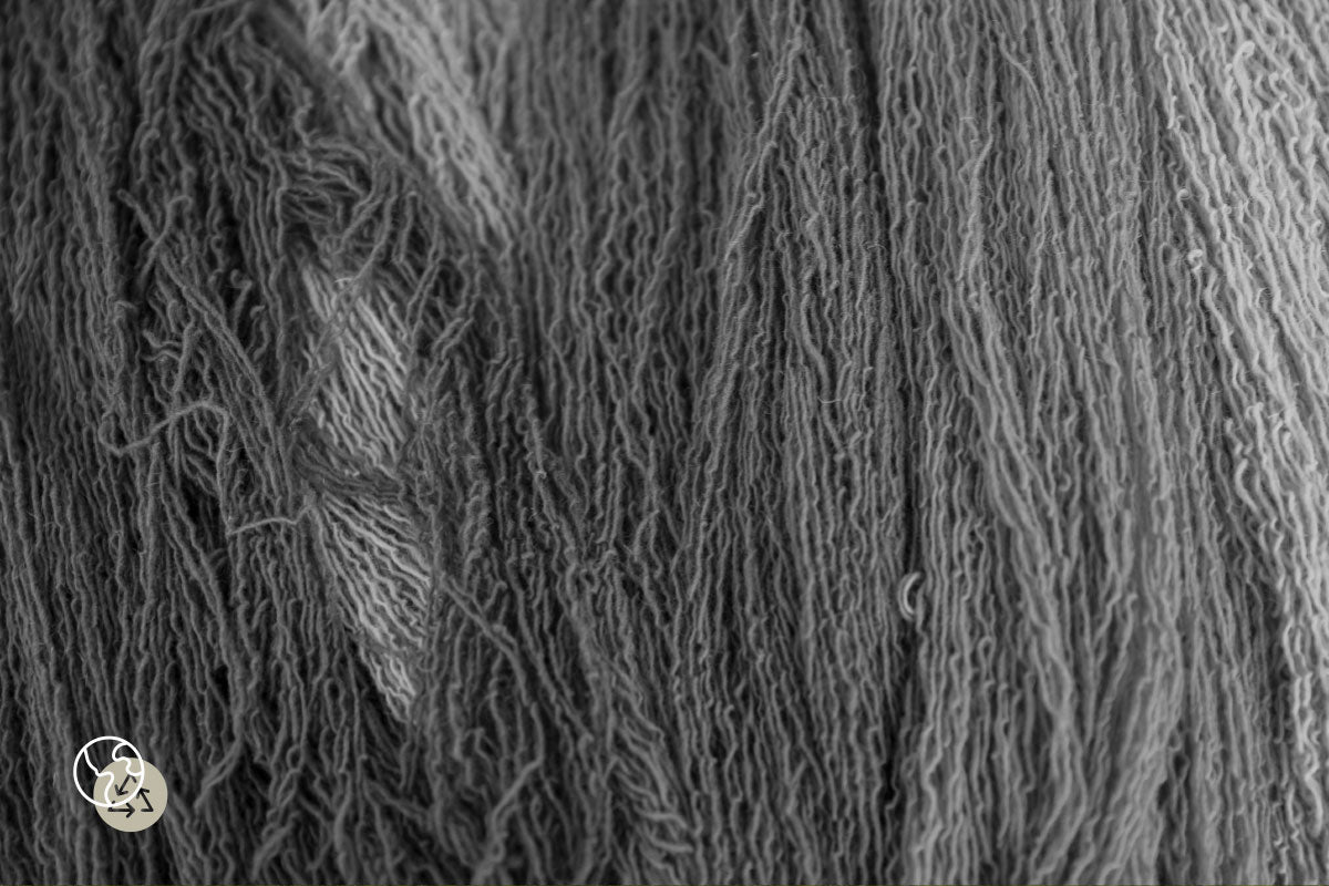 Fibre In Focus: Wool