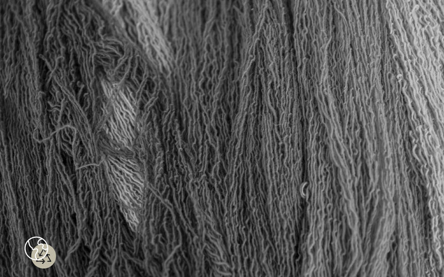 Fibre In Focus: Wool